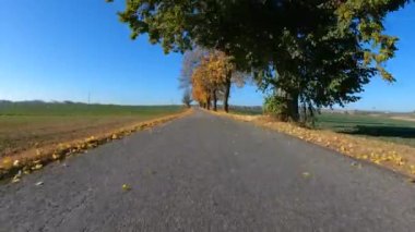 Arabadan sonbahar manzarası görüntüsü