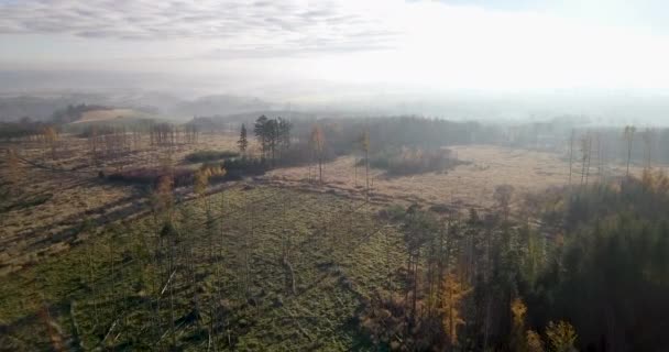 Vista aérea del campo de otoño, paisaje tradicional de otoño — Vídeos de Stock