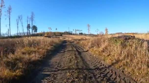 Napęd rowerowy jesienią jesienią ścieżka leśna — Wideo stockowe