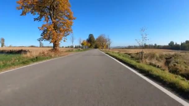 POV view of fall landscape from car — стоковое видео