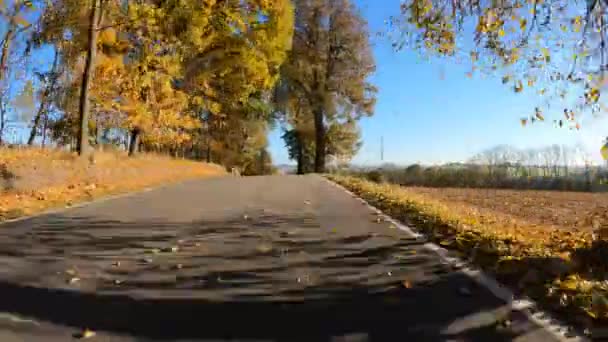 Vista de POV del paisaje de otoño desde el coche — Vídeo de stock