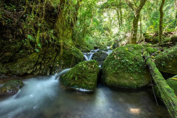 Long Exposure Small Wild Mountain River Rio Savegre Stunning Landscape — Stockfoto