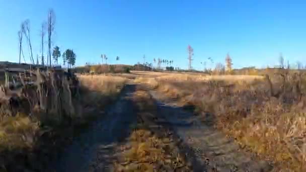 Napęd rowerowy jesienią jesienią ścieżka leśna — Wideo stockowe