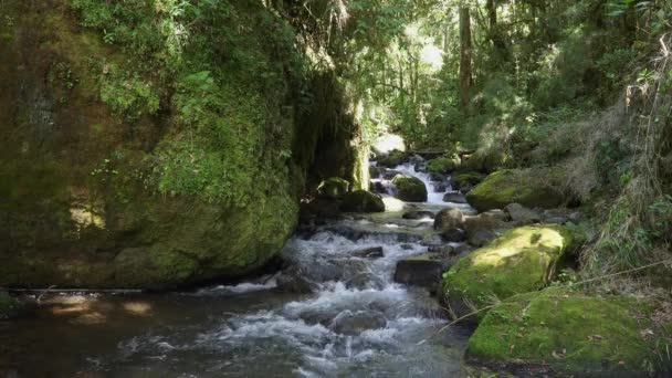 Pequeno rio de montanha selvagem Rio Savegre. San Gerardo de Dota, Costa Rica. — Vídeo de Stock