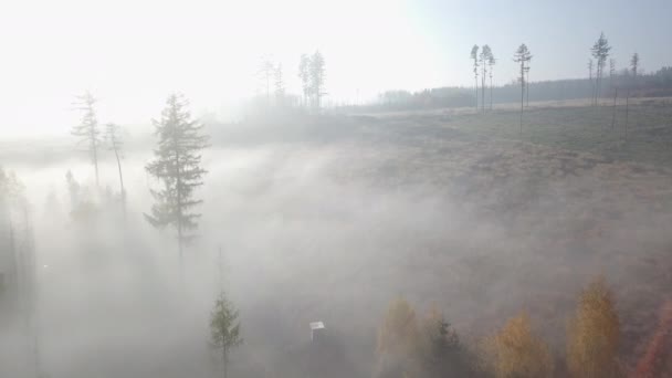 Sonbahar kırsalının hava manzarası, Orta Avrupa 'da geleneksel sonbahar manzarası — Stok video