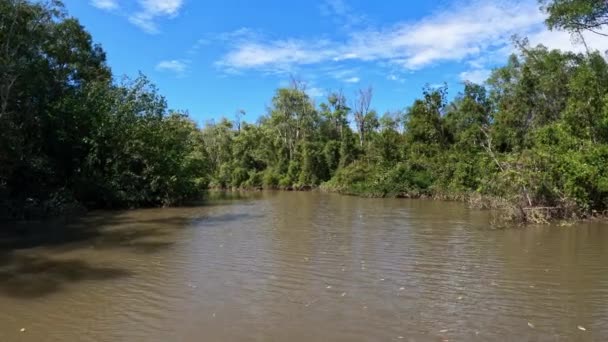 Tekne Tempisque Nehri 'nden geçiyor, Tortuguero, Kosta Rika — Stok video