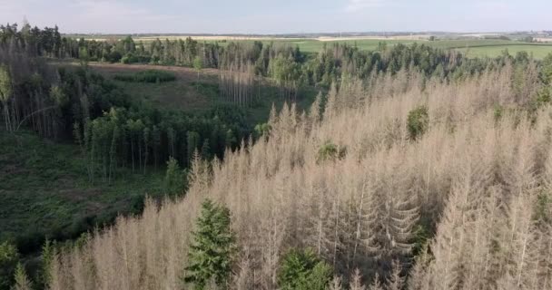 Flygfoto över höst landsbygd, traditionellt fall landskap i Centraleuropa — Stockvideo