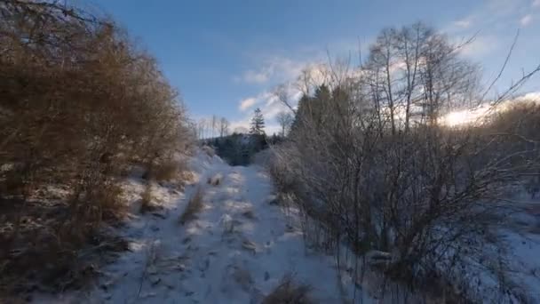 Περπατώντας το χειμώνα ηλιόλουστο πρωί σε χιονισμένο τοπίο — Αρχείο Βίντεο