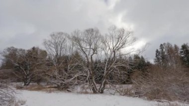 Kış zamanı, karlı arazide hareket eden bulutlar.