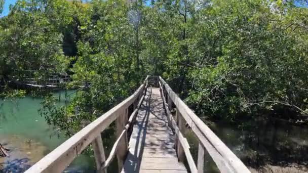 Trä bro väg över sumpig flod med vegetation snår — Stockvideo