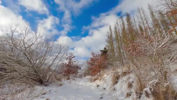 冬の時間経過、雪景色の中で雲を移動 — ストック動画