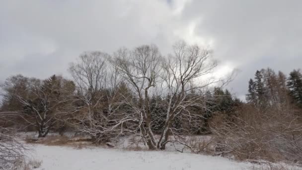 Зимнее время, движущиеся облака в снежном ландшафте — стоковое видео