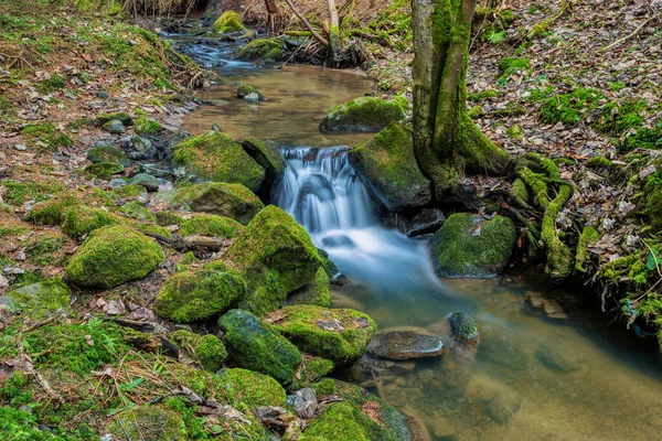 森林中的小溪流 长期曝光照片 捷克共和国Vysocina 欧洲高地 — 图库照片