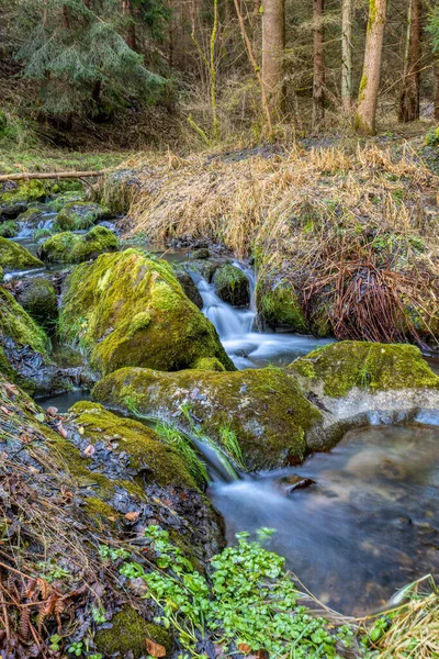 Ormanda Küçük Bir Orman Deresi Uzun Pozlama Fotoğrafı Vysocina Skoçya — Stok fotoğraf