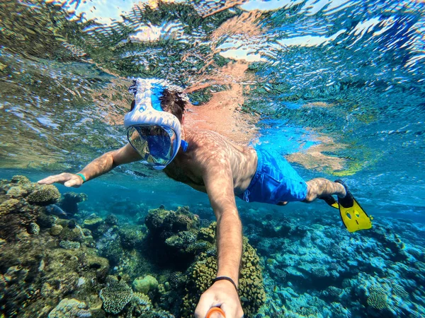Сноркель Плаває Коралових Рифах Червоному Морі Екзотичні Тропіки Райські Рибою — стокове фото