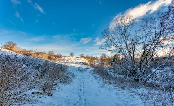 Krajobraz Leśny Ścieżką Wiejską Drzewo Pokryte Białym Śniegiem Republika Czeska — Zdjęcie stockowe