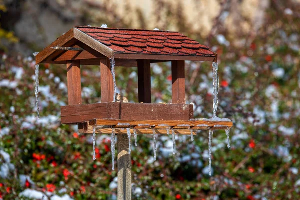 Yapımı Ahşap Kuş Evi Donmuş Karlı Kış Bahçesine Kuş Yemi — Stok fotoğraf
