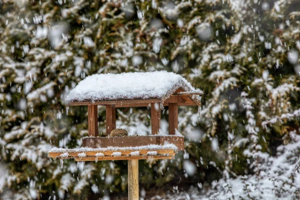 Hemlagad Trä Fågelholk Fågelmatare Installerad Frusen Snöig Vinterträdgård — Stockfoto