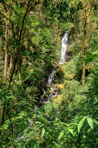 Wasserfall Auf Einem Kleinen Wilden Gebirgsfluss Lange Belichtung Atemberaubende Landschaft — Stockfoto