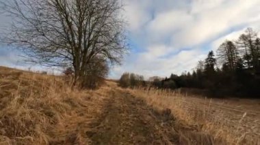 Kışın yürümek güneşli bir sabah manzarada