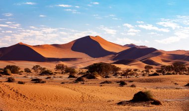Namib Çölü 'ndeki ünlü Ölü Vlei yakınlarındaki kurak ölü gündoğumu manzarası, sabah güneşi, Namibya, Afrika vahşi doğası ile kumul