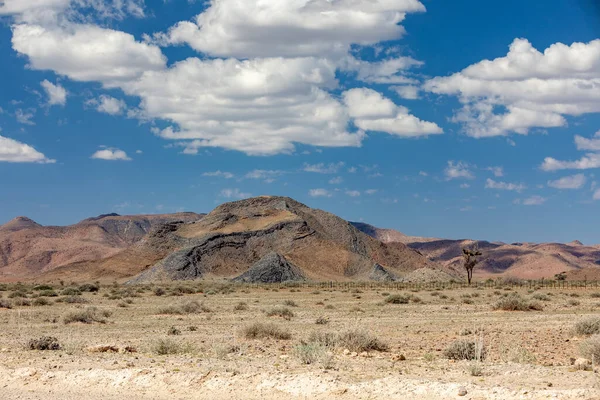 Namibia Central Arena Desierto Paisaje Con Árboles Paisajes Africanos Tradicionales — Foto de Stock