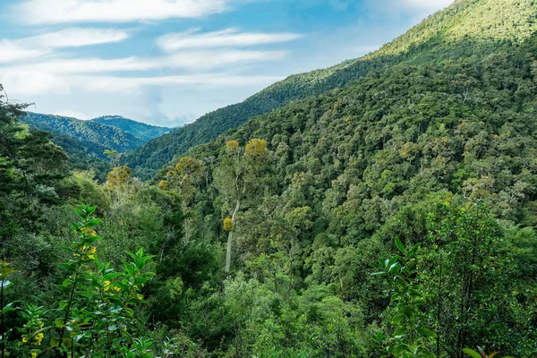 Hermosa Vista Sobre Las Colinas Selva Que Rodea San Gerardo — Foto de Stock