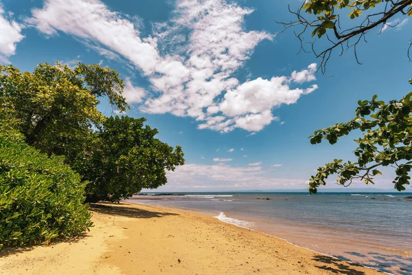 Дикий Пляж Масоала Мадагаскар Африка Дикая Природа Красивый Ландшафт Дикой — стоковое фото