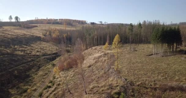 Flygfoto över höst landsbygd, traditionellt fall landskap i Centraleuropa — Stockvideo