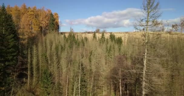 Luftaufnahme der herbstlichen Landschaft, traditionelle Herbstlandschaft in Mitteleuropa — Stockvideo