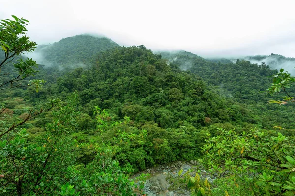 Paisaje Selvático Bosque Lluvioso Parque Nacional Tapanti Clima Nublado Brumoso — Foto de Stock