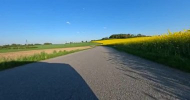 Çiçek açan tarlalar ve ağaçlar etrafında arabayla bahar gezisi. Hareket halindeki araçtan kırsal alan. Çek Cumhuriyeti