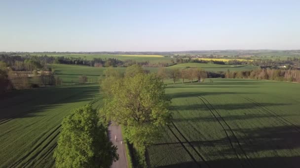 Drón Átrepül Vidéken Zöld Búzamezővel Erdővel Borított Dombvidék Meleg Napos — Stock videók