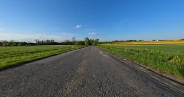 Viaje Primavera Coche Alrededor Campos Florecientes Árboles Paisaje Rural Desde — Vídeo de stock