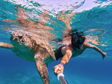 Kızıl Deniz 'deki egzotik tropik cennetin mavi suyunda büyük yeşil deniz kaplumbağasıyla şnorkelle yüzen bir adam. Marsa Alam Mısır. Egzotik bir ülkede yaz tatili, etkinlik tatili konsepti. Marsa Alam Mısır