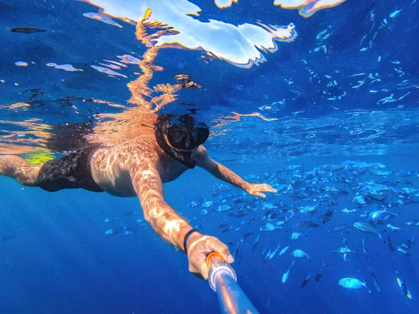 Snorkeling in underwater exotic tropics paradise with school of Caesio Striata coral fish, beautiful view of tropical sea. Summer holiday in exotic country, activity vacation concept. Marsa Alam Egypt
