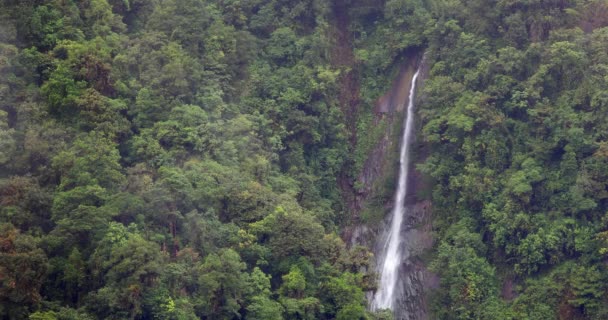 Jungle Landscape Rainy Day Rain Forest Waterfall Tapanti National Park — Stock Video