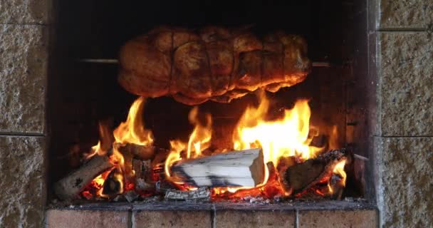 在花园的烤架上 用明火把鸡烤在吐痰上 — 图库视频影像