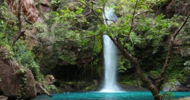 Catarata La Cangreja - Yeşil ağaçlar, bitki örtüsü, kayalar, yeşil ve berrak sularda yüzen yapraklar, Rincon de la Vieja Ulusal Parkı, Kosta Rika Yabanı