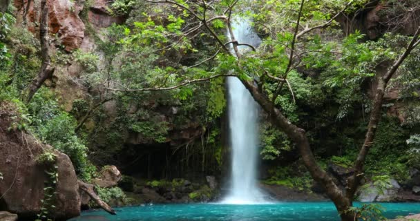 Catarata Cangreja Ukryty Wodospad Otoczony Zielonymi Drzewami Roślinnością Skałami Liśćmi — Wideo stockowe