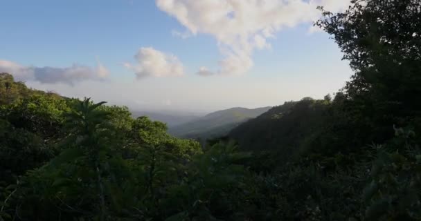 Μοντεβέρντε Σύννεφα Που Κινούνται Πάνω Από Βουνά Τιμελίπε Κόστα Ρίκα — Αρχείο Βίντεο