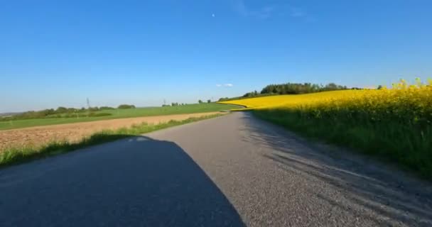 Spring Trip Car Blooming Fields Trees County Road Countryside Landscape — Stock videók
