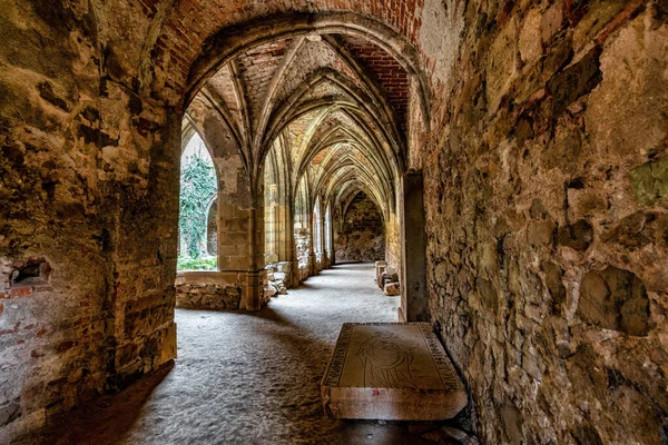 Rosa Coeli Monastery Ancient Catholic Ruin Monastery Dolni Kounice City — Stok fotoğraf