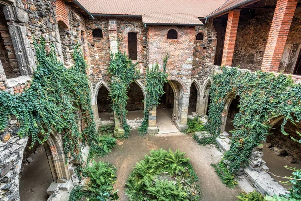 Rosa Coeli Monastery Ancient Catholic Ruin Monastery Dolni Kounice City — Stok fotoğraf