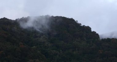 Beautiful view on the hills and rainforest surrounding San Gerardo de Dota in mist, beautiful Costa Rica Wilderness landscape