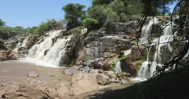Awash Milli Parkı Nda Sonbahar Etiyopya Nın Güneyindeki Awash Wildlife — Stok video