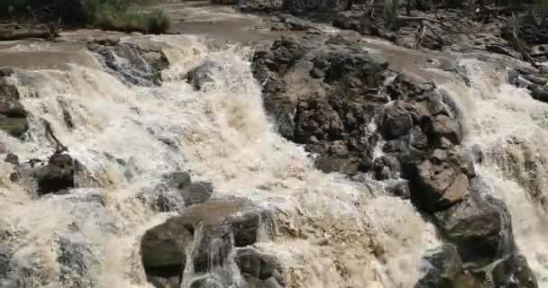Val Awash National Park Watervallen Awash Wildlife Reserve Het Zuiden — Stockvideo