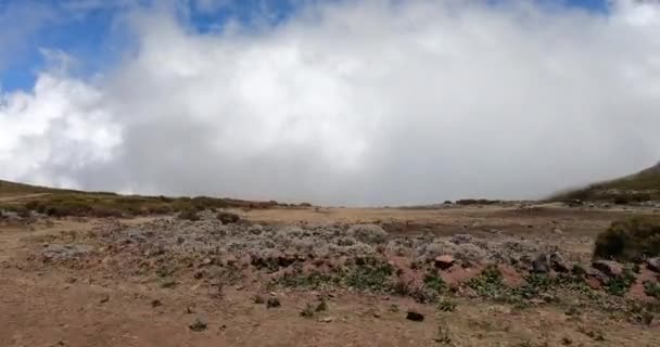 Drive Road Top Ethiopian Bale Mountains National Park Ethiopia Wilderness — 비디오