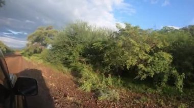 Car drive in Omo Valley, Omorati Etiopia, Africa nature and wilderness