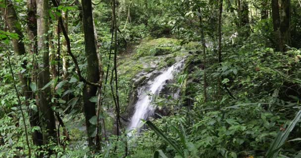 Small Wild Mountain Waterfall Stunning Landscape Wilderness Pure Nature Manual — Video